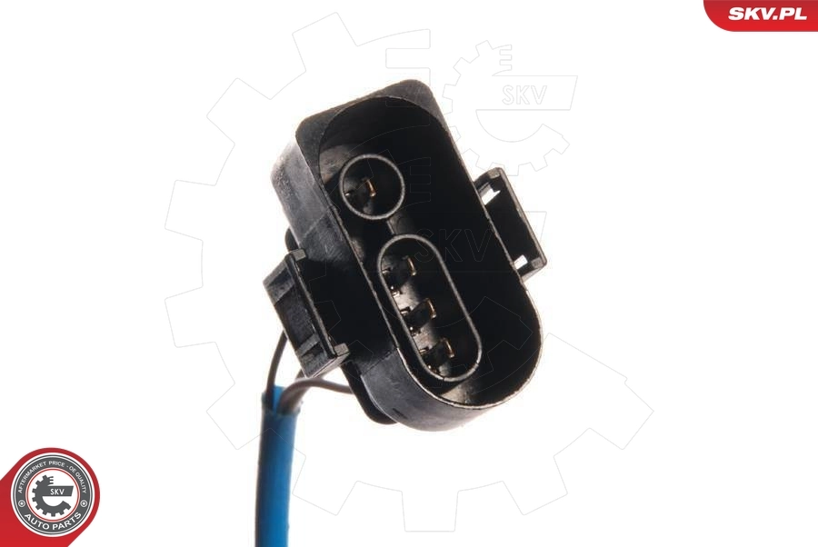 Oxygen Sensor